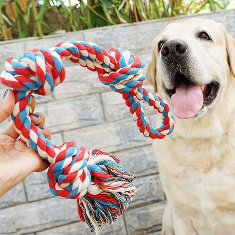 犬 おもちゃ ロープ | 愛犬とのきずな深まるおもちゃ