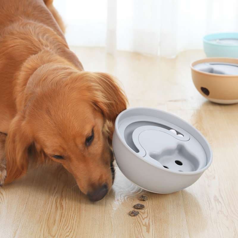 犬 おもちゃ 知育 | わんちゃんの知恵袋 おやつディスペンサー