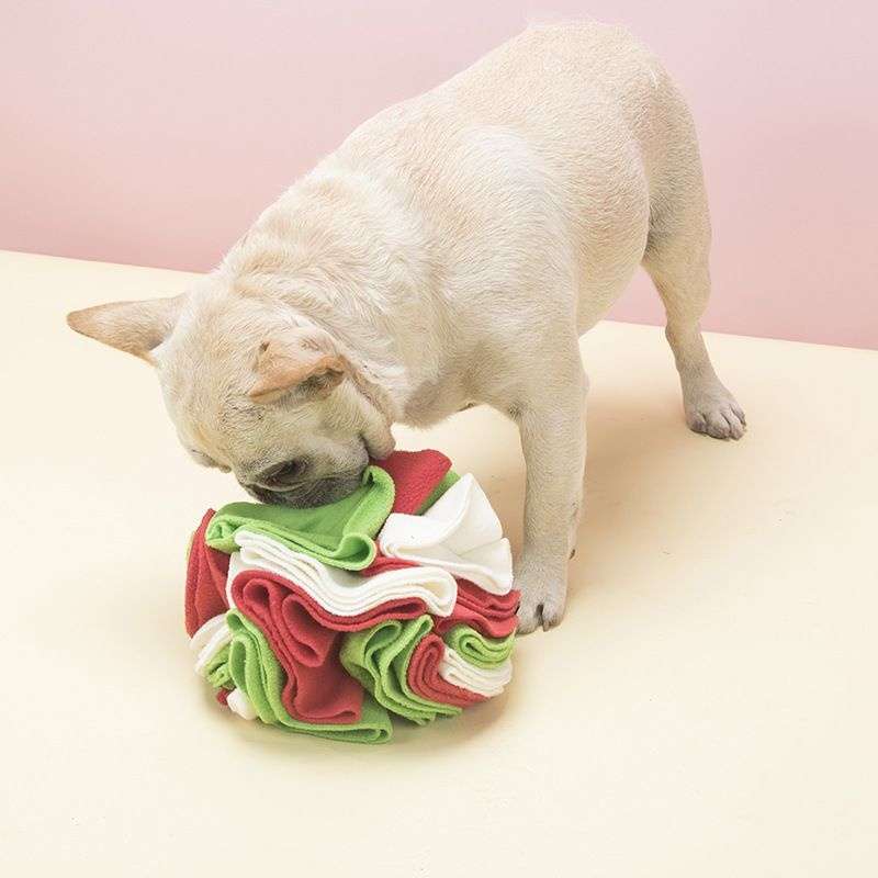 犬 おもちゃ 知育 | わんちゃんの脳トレボール