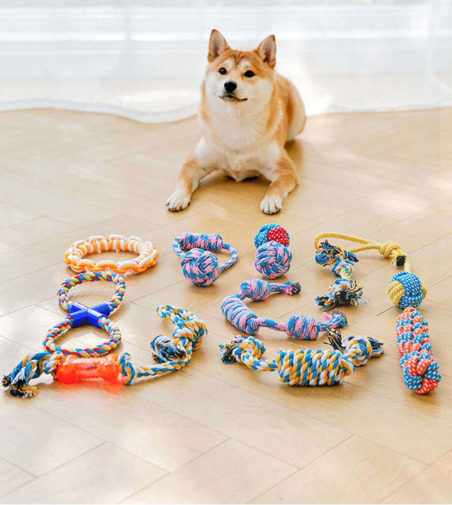 犬 おもちゃ ロープ | 愛犬用デンタルロープ遊具セット