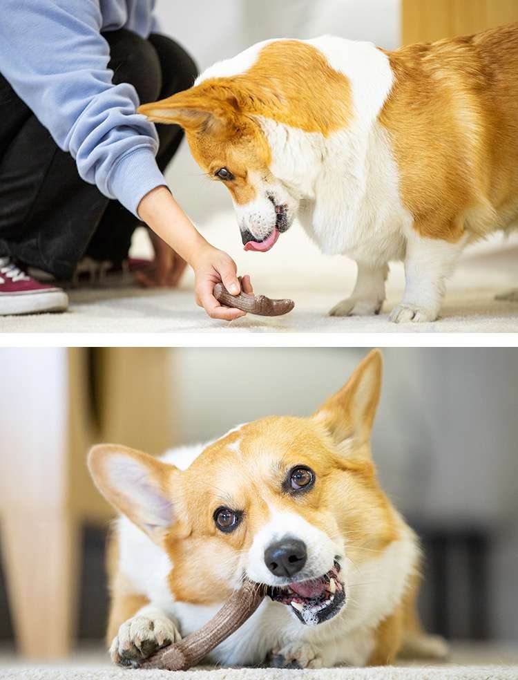 犬 おもちゃ 骨 | 木製アントラー デンタルトイ