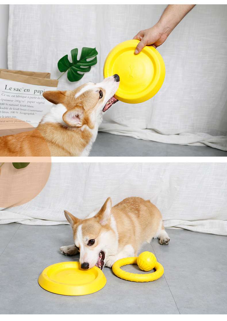 犬 おもちゃ 歯磨き | わんちゃんの歯磨きトレーニングおもちゃ