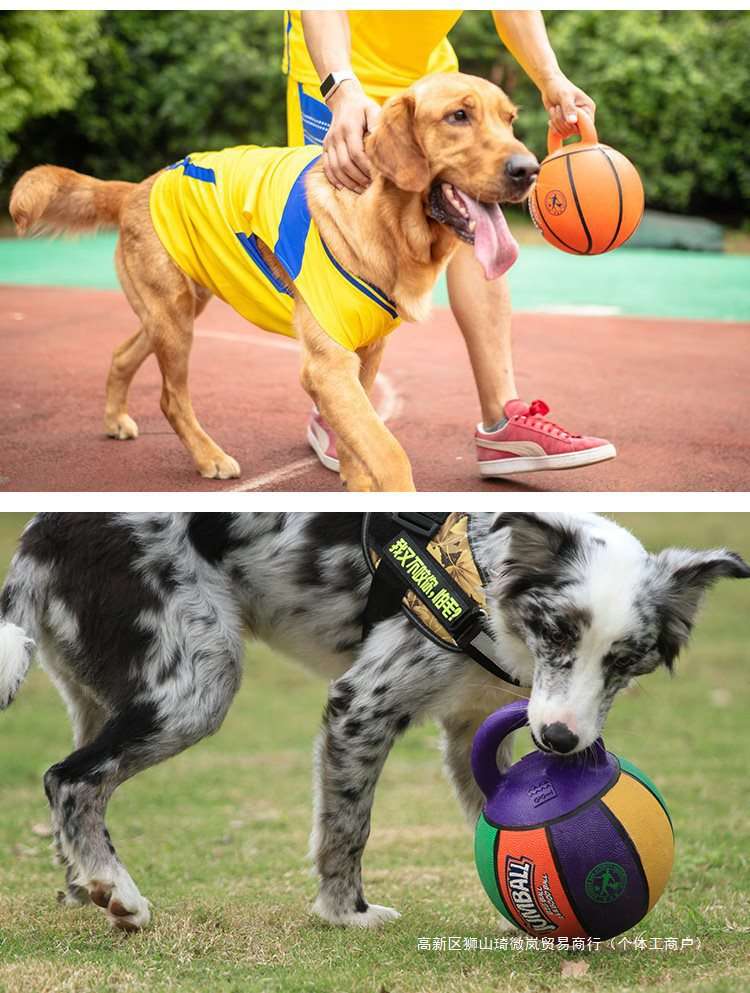 犬のおもちゃ ボール