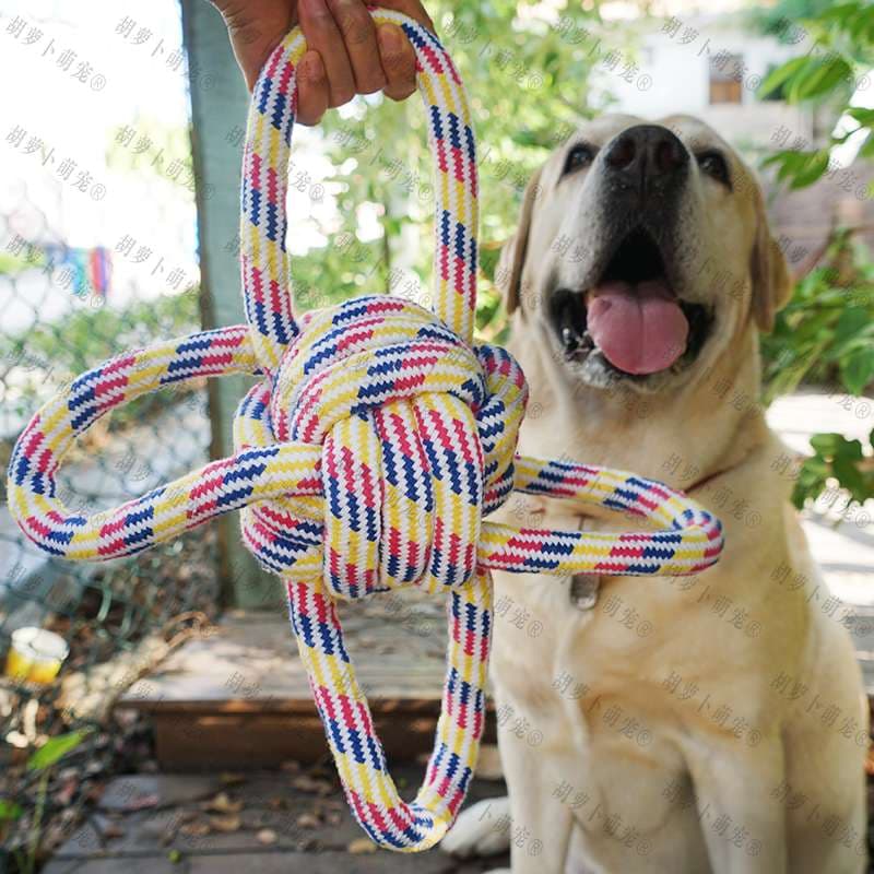 犬 おもちゃ ロープ | 愛犬とのふれあい結び目ロープ