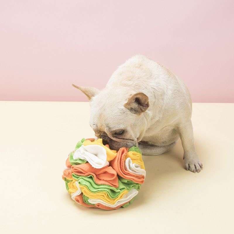 犬 おもちゃ 知育 | わんちゃんの脳トレボール