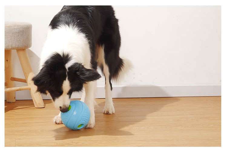犬 おもちゃ ボール | 知育ペット噛むおもちゃボール