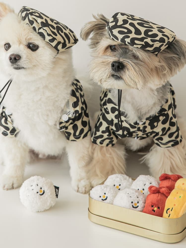 犬のおもちゃ わんこのごちそうセット