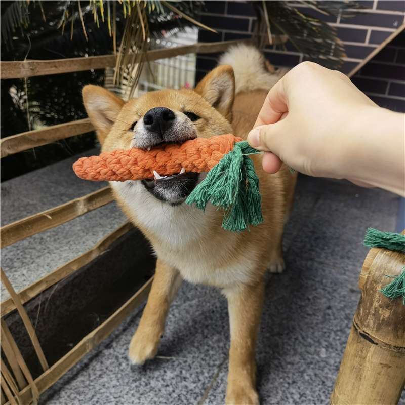 犬 おもちゃ ロープ | もふもふワンちゃんの歯磨きロープ