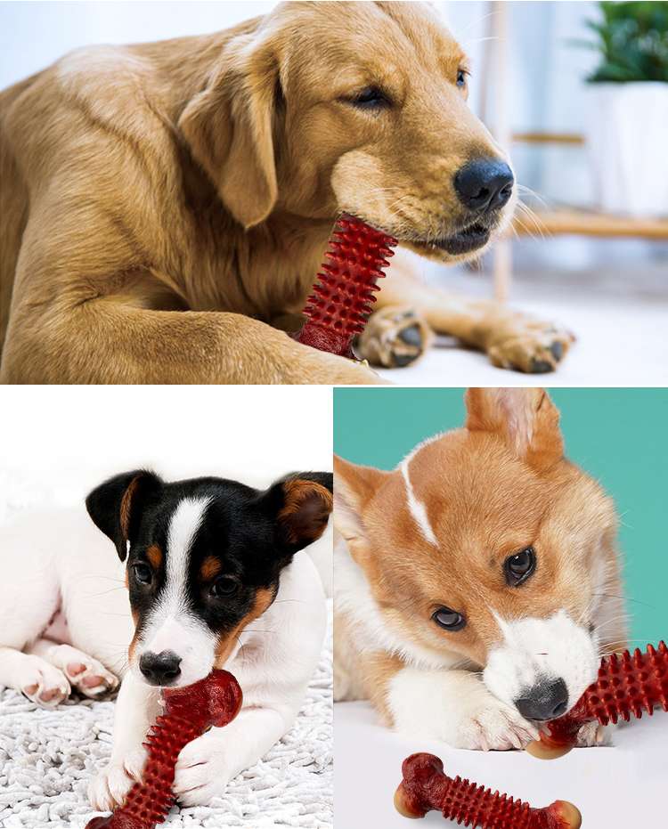 犬 おもちゃ 骨 | 歯磨き効果抜群の音が鳴るおもちゃ骨