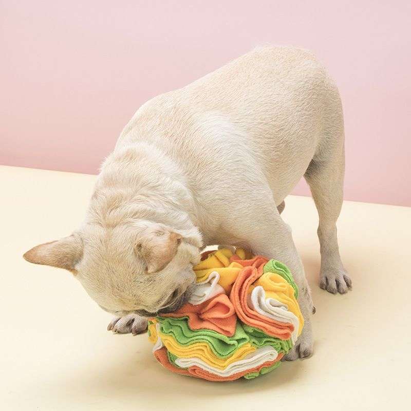 犬 おもちゃ 知育 | わんちゃんの脳トレボール