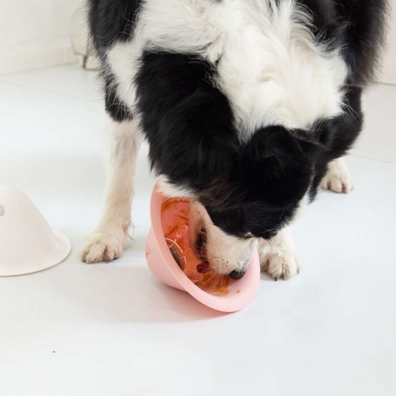 犬 おもちゃ 知育 | 長く遊べる知育ボウル
