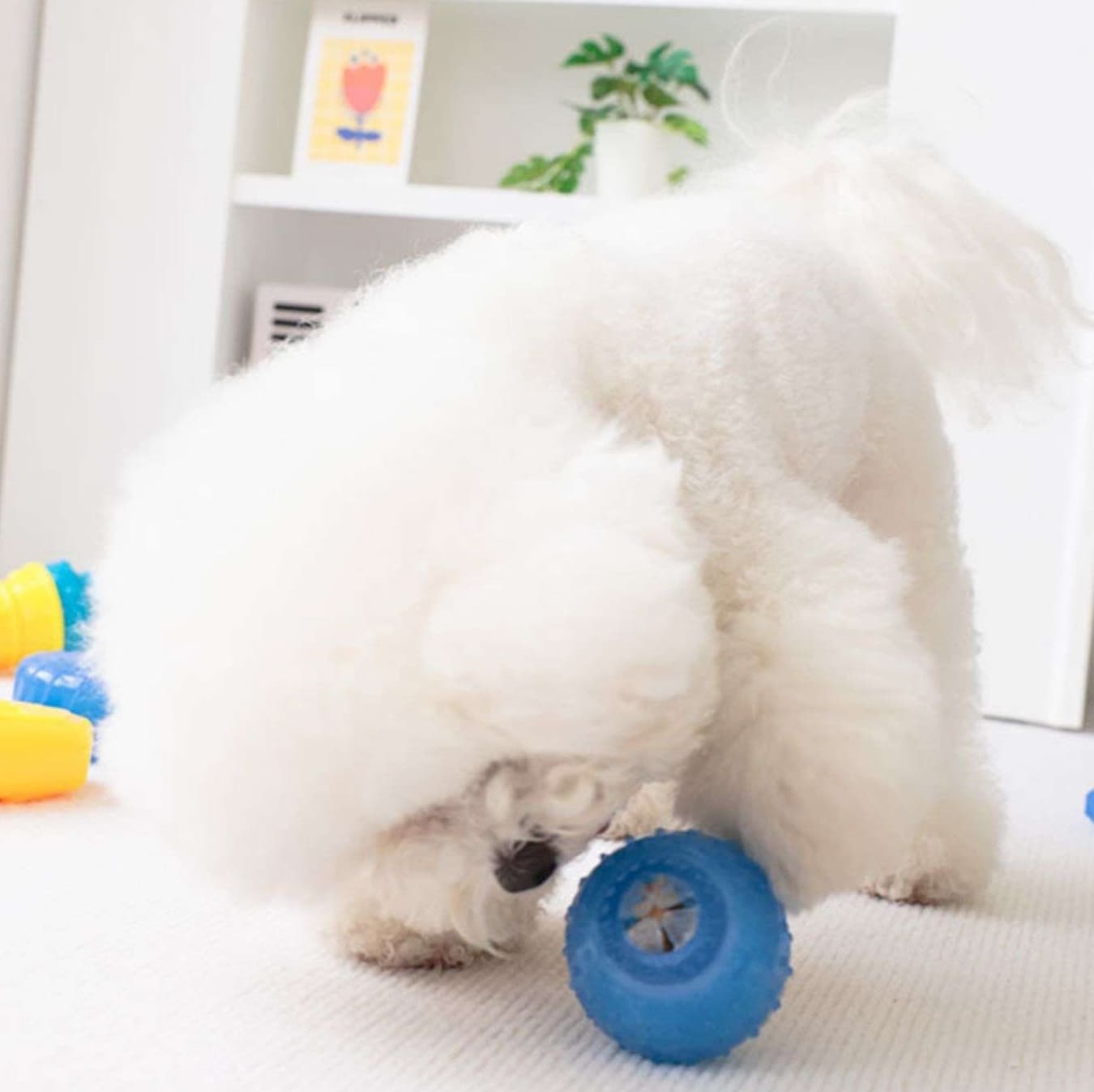 犬 おもちゃ 知育 | わんちゃんの歯固めアイスキャンディー