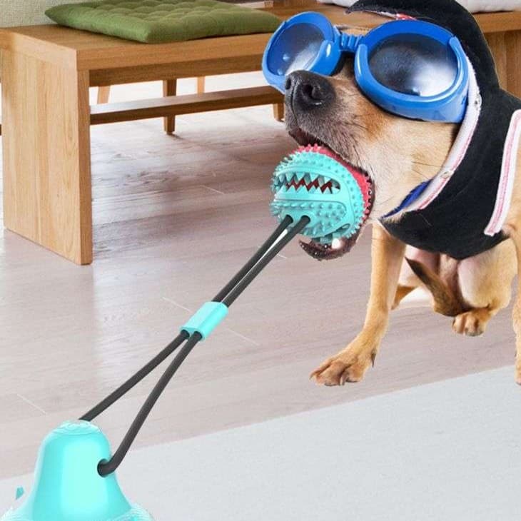 犬 おもちゃ | 吸盤付き犬用トレーニングボール