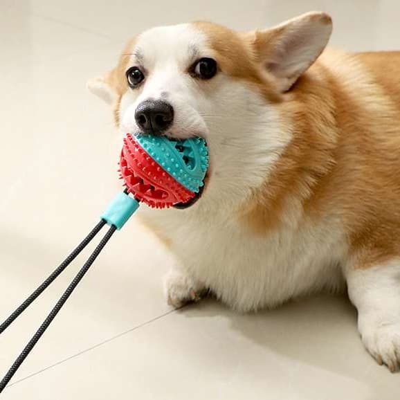 犬 おもちゃ | 吸盤付き犬用おやつディスペンサー玩具