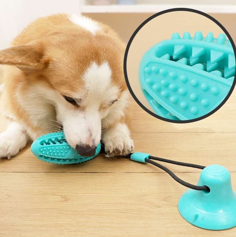 犬 おもちゃ | 吸盤付き犬用おやつディスペンサー玩具
