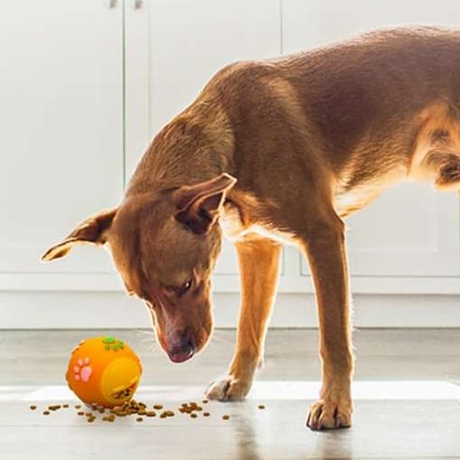犬 おもちゃ 知育 | ペット用おやつ出る知育ボール
