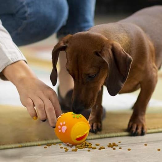 犬 おもちゃ 知育 | ペット用おやつ出る知育ボール
