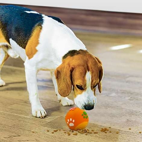 犬 おもちゃ 知育 | ペット用おやつ出る知育ボール