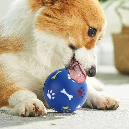 犬 おもちゃ ボール | 犬用おやつ出る知育ボール