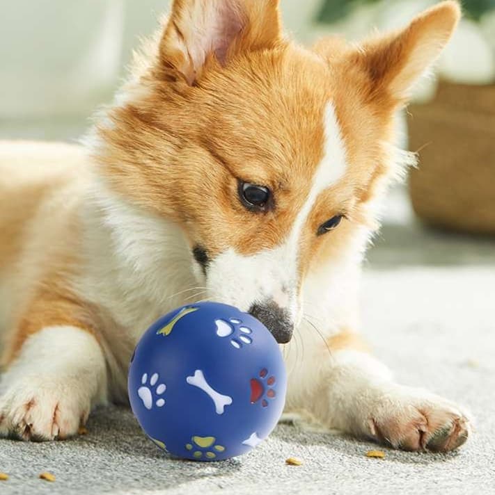 犬 おもちゃ ボール | 犬用おやつ出る知育ボール