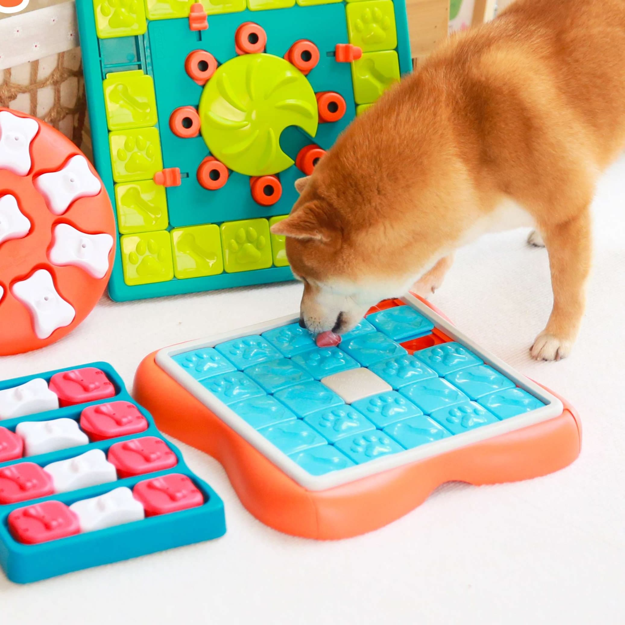 犬 おもちゃ 知育 | ペット用パズルトイ 知育セット