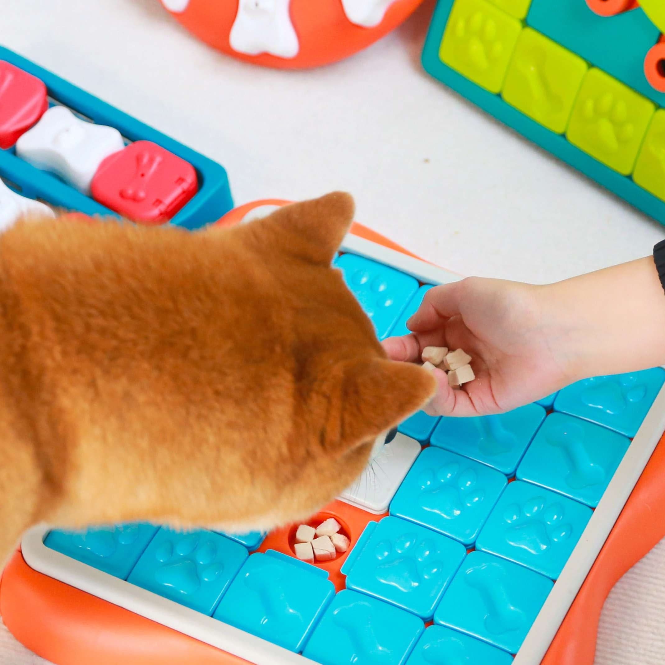犬 おもちゃ 知育 | ペット用パズルトイ 知育セット