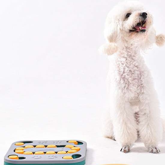 犬 おもちゃ 知育 | 犬用パズルフィーダー