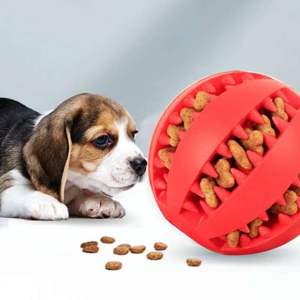 犬 おもちゃ 歯磨き | 噛んで遊べる歯磨きボール