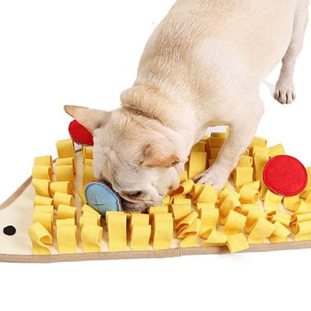 犬 おもちゃ 知育 | ハリネズミ型嗅覚トレーニングマット