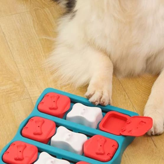 犬 おもちゃ 知育 | わんちゃん喜ぶ知育パズルおもちゃセット