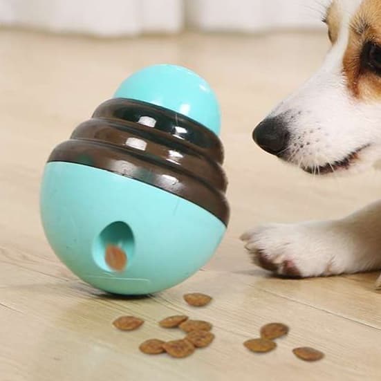 犬 おもちゃ 知育 | 転がるおやつボール 知育玩具