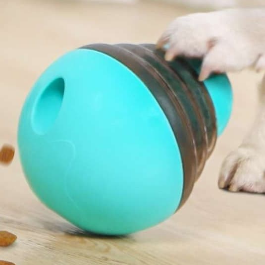犬 おもちゃ 知育 | 転がるおやつボール 知育玩具