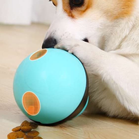 犬 おもちゃ 知育 | 転がるおやつボール 知育玩具