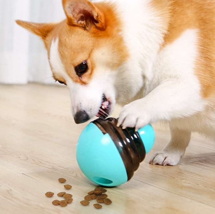 犬 おもちゃ 知育 | 転がるおやつボール 知育玩具