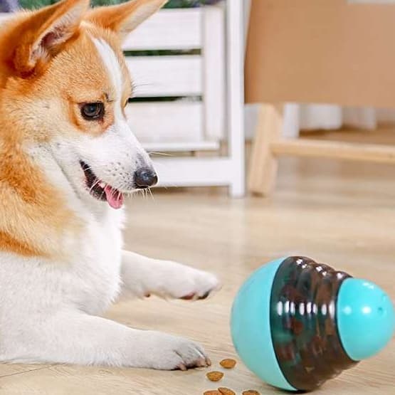 犬 おもちゃ 知育 | 転がるおやつボール 知育玩具