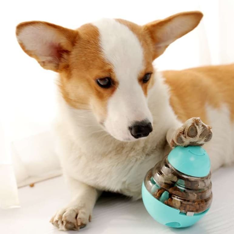 犬 おもちゃ 知育 | 転がるペット用おやつボール