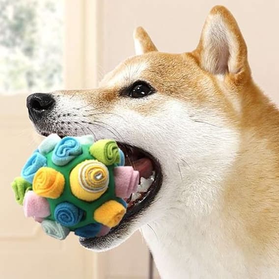 犬 おもちゃ 知育 | 多機能ボール型犬用おやつパズル