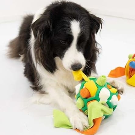 犬 おもちゃ 知育 | 多機能ボール型犬用おやつパズル