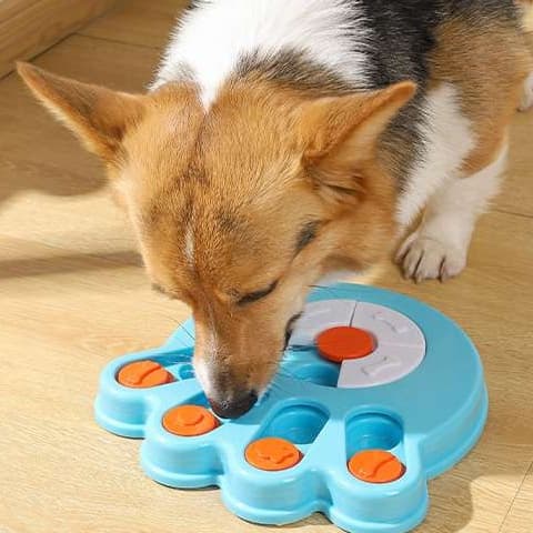 犬 おもちゃ 知育 | わんちゃんの知育パズルおもちゃ