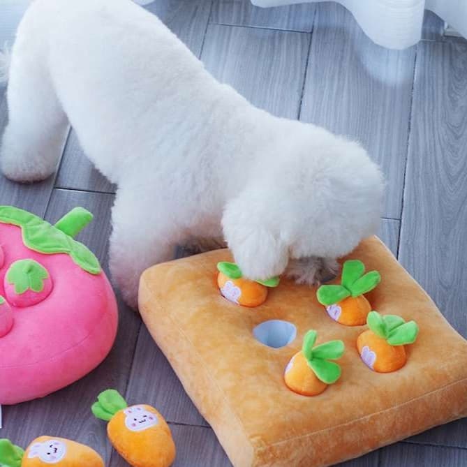犬 おもちゃ 知育 | もぐもぐ野菜ハント知育マット
