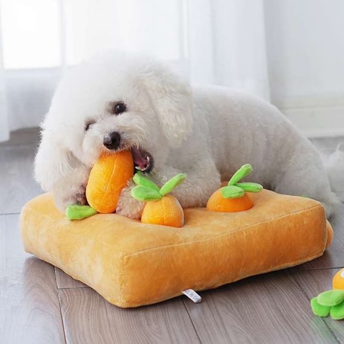犬 おもちゃ 知育 | もぐもぐ野菜ハント知育マット