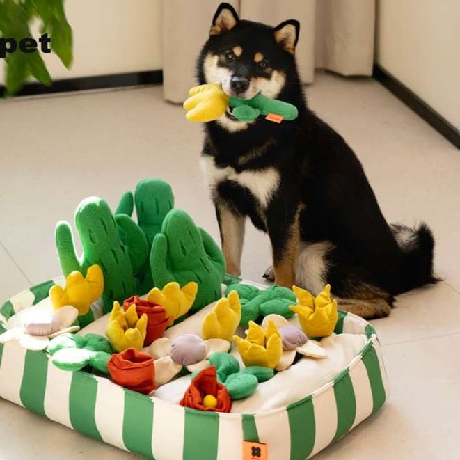 犬 おもちゃ 知育 | わんちゃんの嗅覚トレーニングマット