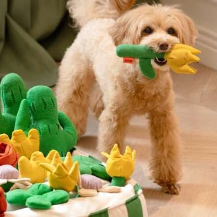 犬 おもちゃ 知育 | わんちゃんの嗅覚トレーニングマット