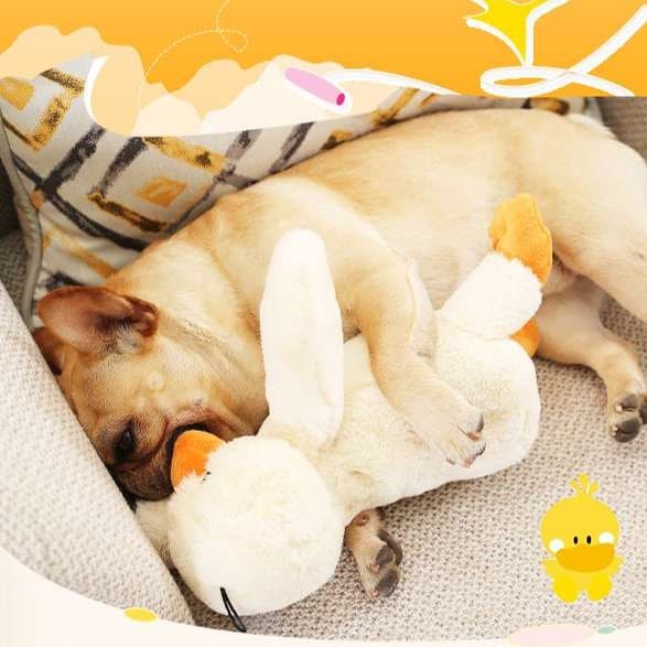 犬 おもちゃ ぬいぐるみ | わんちゃんの癒しパートナー アヒルのぬいぐるみ