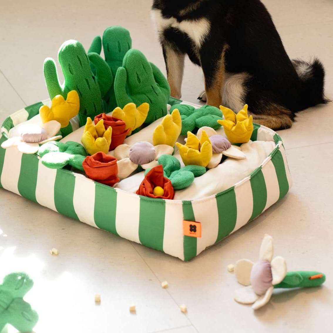 犬 おもちゃ 知育 | わんちゃんの嗅覚トレーニングマット