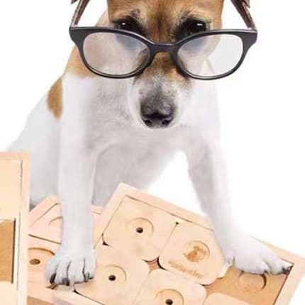 犬 おもちゃ 知育 | ワンコの頭脳ゲーム