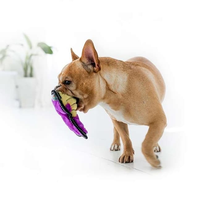 犬 おもちゃ | 悪戯好きな動物たちのぬいぐるみ