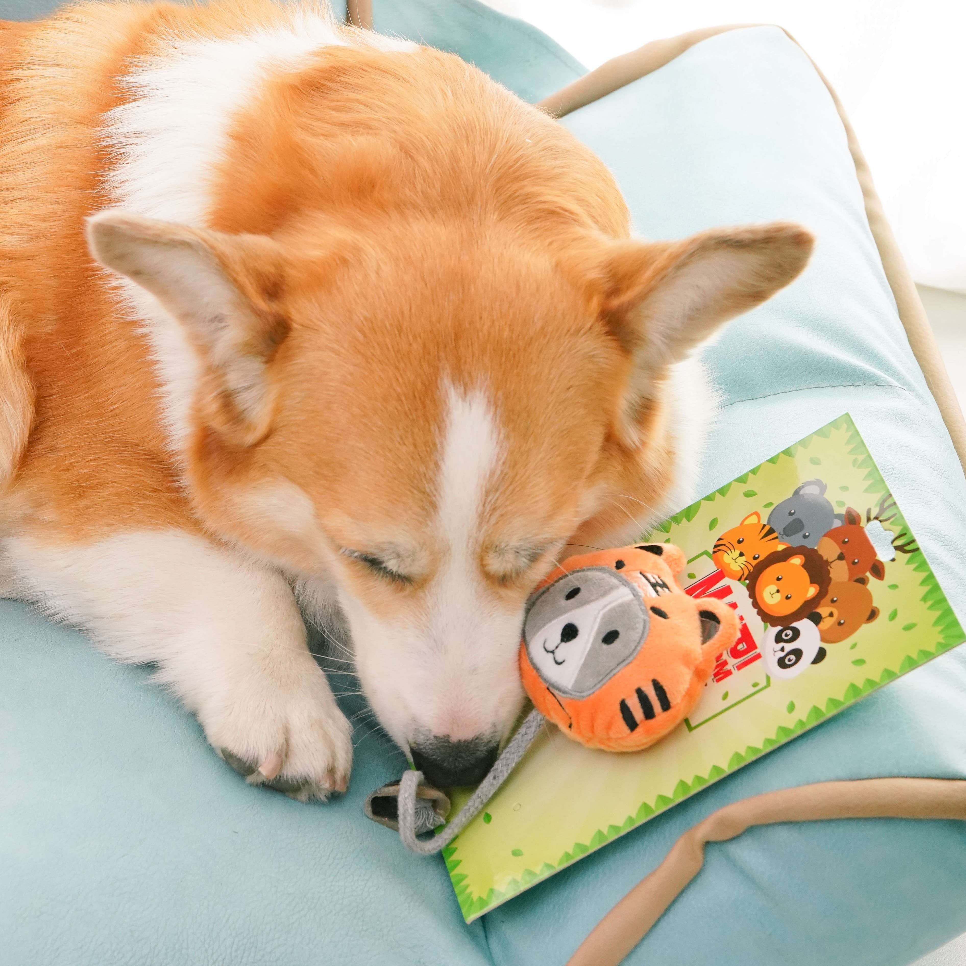 犬 おもちゃ ぬいぐるみ | もふもふうさぎのぬいぐるみ