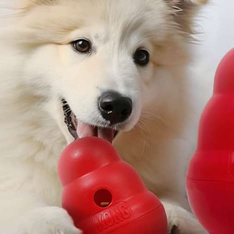 犬 おもちゃ 知育 | 犬用知育おもちゃ 食べ遊びコング
