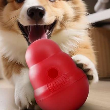 犬 おもちゃ 知育 | 犬用知育おもちゃ 食べ遊びコング